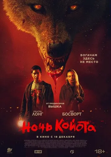 Ночь койота